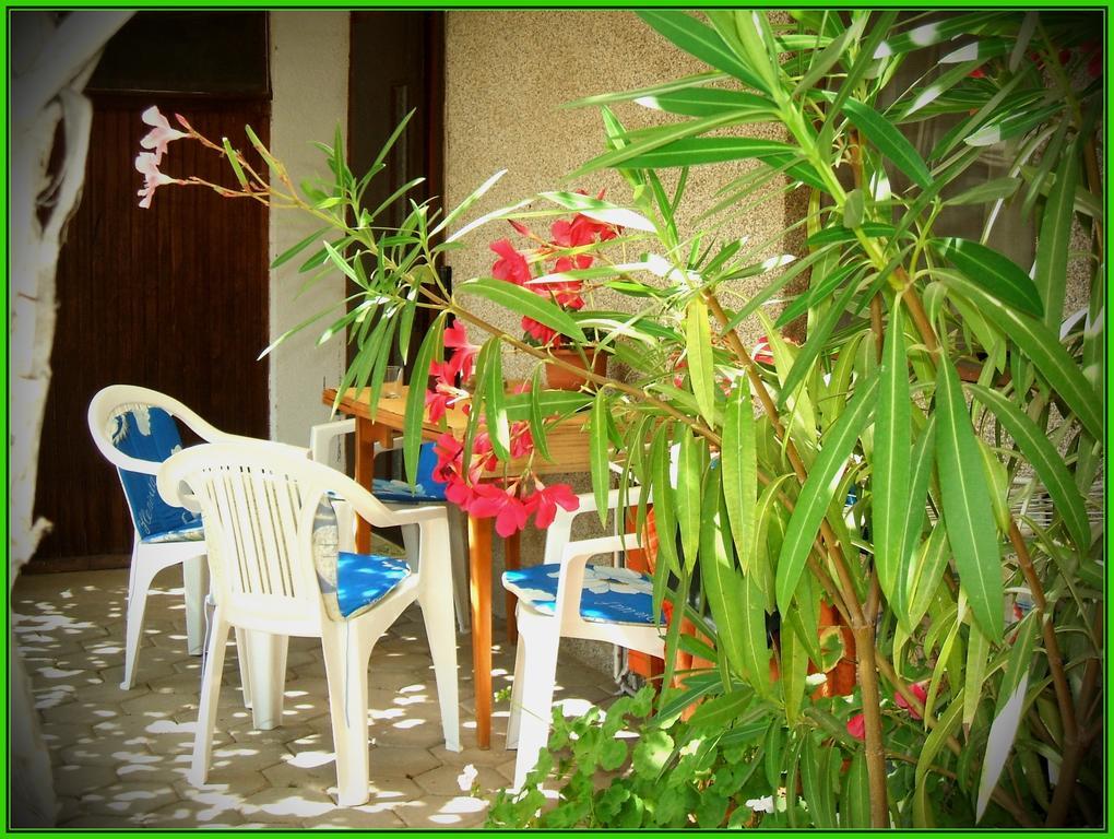 אוהריד Zura Apartments חדר תמונה